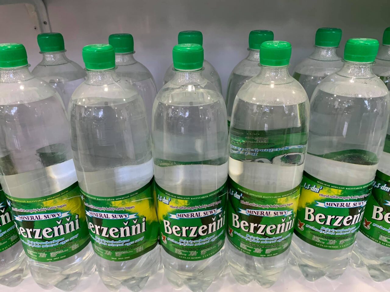 Berzsenyi mary